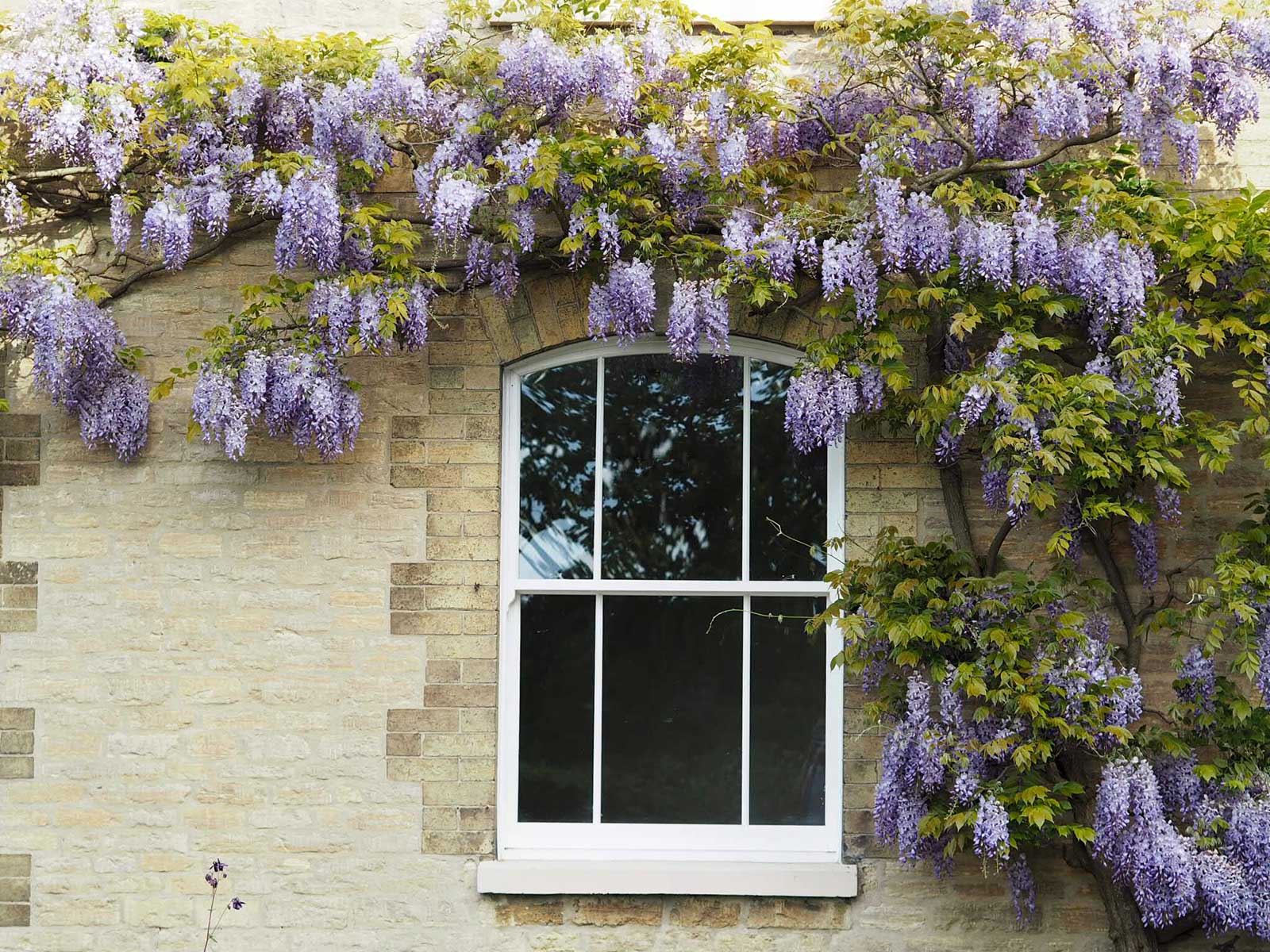 double glazed sliding sash windows new forest