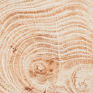 windsor oak